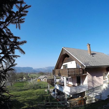Lakeview Apartment Maja Near Bled Breznica Zewnętrze zdjęcie